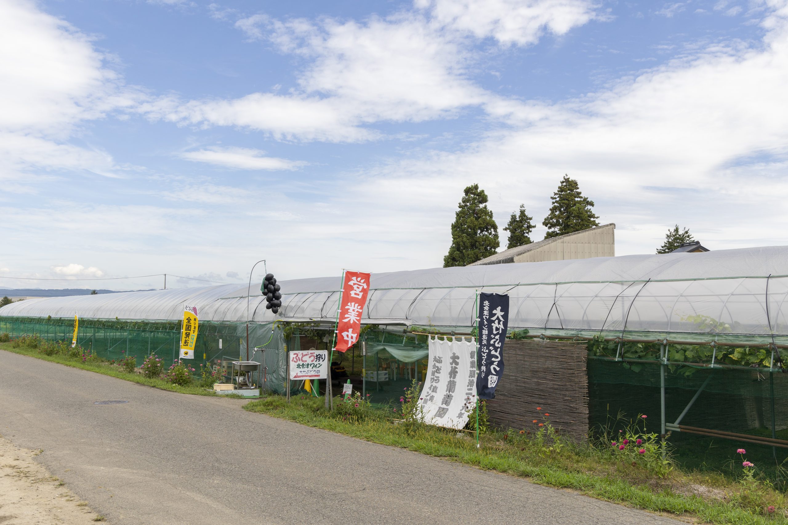 明治から続くぶどう屋さん